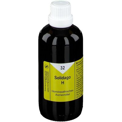 NESTMANN Solidago H 32 Tropfen 100 ml NESTMANN Solidago H 32 Tropfen 100 ml