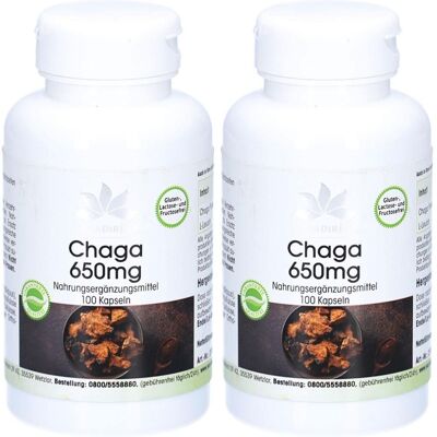 WARNKE Chaga 650 mg Kapseln 2x 2x100 St WARNKE Chaga 650 mg Kapseln 2x 2x100 St