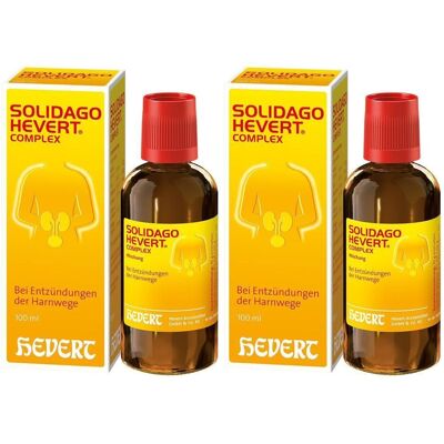 Solidago Hevert Complex Tropfen 2x 2x100 ml Solidago Hevert Complex Tropfen 2x 2x100 ml