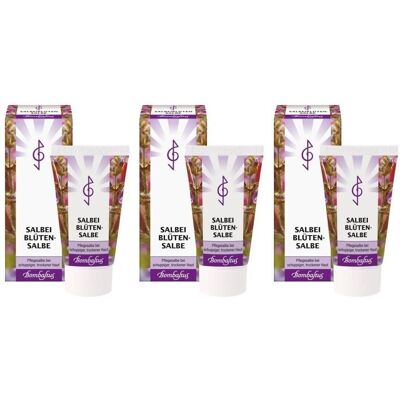 Bombastus SALBEIBLÜTEN-Salbe x3 3x75 ml Salbe Bombastus SALBEIBLÜTEN-Salbe x3 3x75 ml Salbe