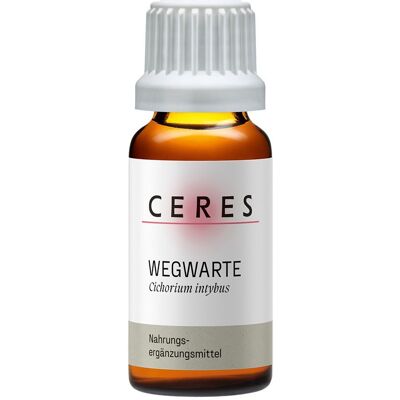 Ceres Wegwarte Cichorium intybus Extrakt Tropfen 20 ml Ceres Wegwarte Cichorium intybus Extrakt Tropfen 20 ml