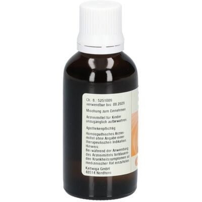 Kattwiga Synergon Komplex 91 Salix S Tropfen 50 ml Kattwiga Synergon Komplex 91 Salix S Tropfen 50 ml