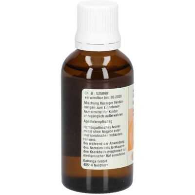 Kattwiga Synergon Komplex 52 Colocynthis S Tropfen 50 ml Kattwiga Synergon Komplex 52 Colocynthis S Tropfen 50 ml