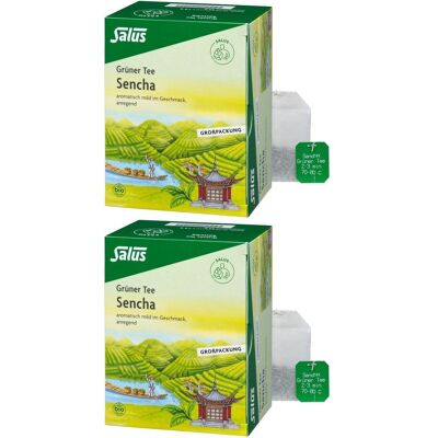 Grüner TEE Bio Salus Filterbeutel Großpackung 2x 2x40 St Grüner TEE Bio Salus Filterbeutel Großpackung 2x 2x40 St