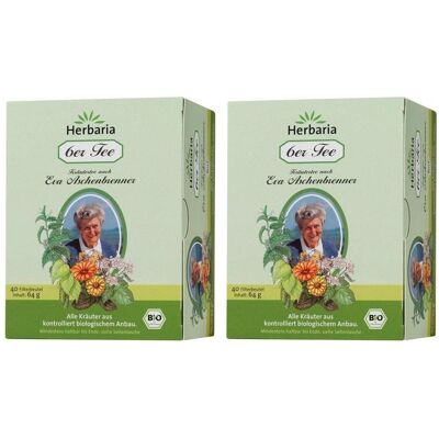 Salus 6ER TEE EVA Aschenbrenner Bio 2x 2x40 St Filterbeutel Salus 6ER TEE EVA Aschenbrenner Bio 2x 2x40 St Filterbeutel