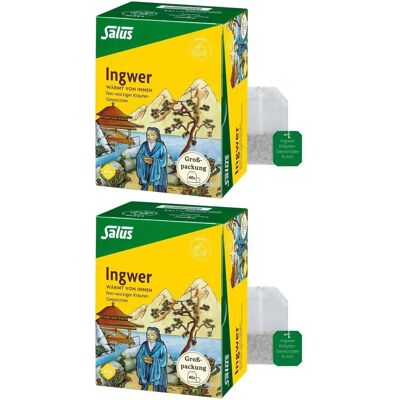 Ingwer KRÄUTER-GEWÜRZTEE-Mischung Bio Salus Fbtl. 2x 2x40 St Filterbeutel Ingwer KRÄUTER-GEWÜRZTEE-Mischung Bio Salus Fbtl. 2x 2x40 St Filterbeutel