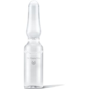 Dr. Hauschka Regenerierende Nachtpflege Geschenkset - Nacht Conditioner, 10x1ml/10x10ml, Ampullen Dr. Hauschka Regenerierende Nachtpflege Geschenkset - Nacht Conditioner, 10x1ml/10x10ml, Ampullen