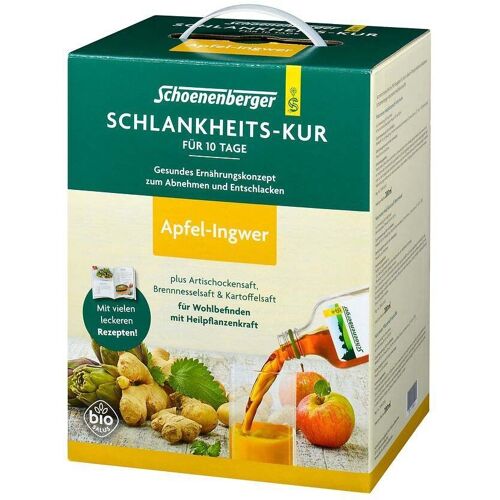 Schlankheitskur Apfel-Ingwer Bio Schoenenberger 1 St Saft