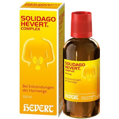 Solidago Hevert Complex Tropfen 100 ml Solidago Hevert Complex Tropfen 100 ml