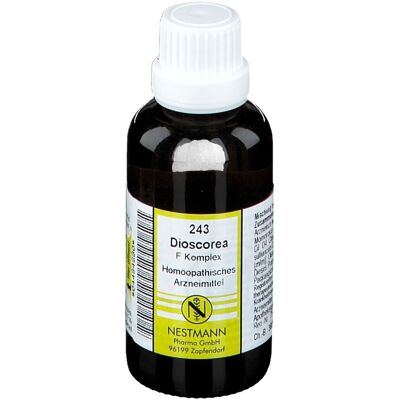 NESTMANN Dioscorea F Komplex Nr.243 Dilution 50 ml NESTMANN Dioscorea F Komplex Nr.243 Dilution 50 ml