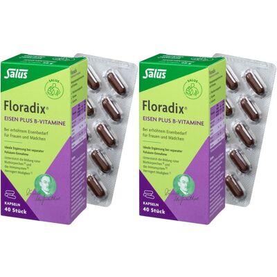 Salus Floradix Eisen plus B-Vitamine Doppelpack 2x40 St Kapseln Salus Floradix Eisen plus B-Vitamine Doppelpack 2x40 St Kapseln