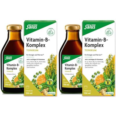 Salus Vitamin-B-Komplex Tonikum Doppelpack 2x250 ml Salus Vitamin-B-Komplex Tonikum Doppelpack 2x250 ml