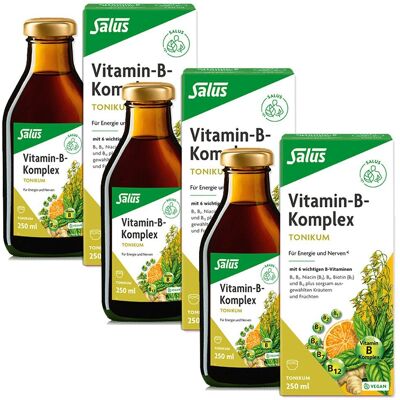 Salus Vitamin B Komplex Tonikum 3er-Pack 3x250 ml Salus Vitamin B Komplex Tonikum 3er-Pack 3x250 ml