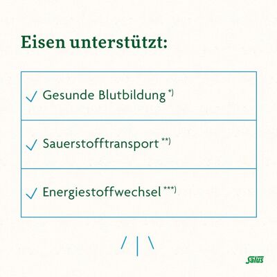 Salus Floradix Eisen plus B12 vegan Kapseln 2x 2x40 St Salus Floradix Eisen plus B12 vegan Kapseln 2x 2x40 St