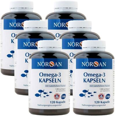 6x Norsan Omega-3 Kapseln 6x120 St 6x Norsan Omega-3 Kapseln 6x120 St