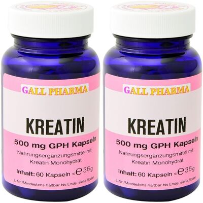 GALL PHARMA Kreatin GPH 500Mg x2 2x60 St Kapseln GALL PHARMA Kreatin GPH 500Mg x2 2x60 St Kapseln