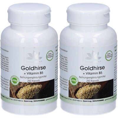 WARNKE GOLDHIRSE+Vitamin B5 Kapseln 2x 2x250 St WARNKE GOLDHIRSE+Vitamin B5 Kapseln 2x 2x250 St