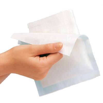 Lohmann & Rauscher - Modell: Gazin Mullkomp.10x20 cm, Steril, 12er Pack Lohmann & Rauscher - Modell: Gazin Mullkomp.10x20 cm, Steril, 12er Pack
