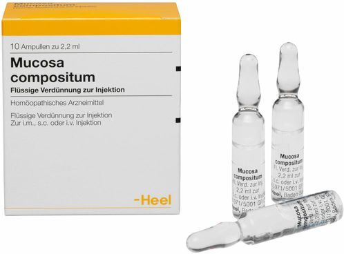 Heel Mucosa compositum Ampullen 10 St Ampullen