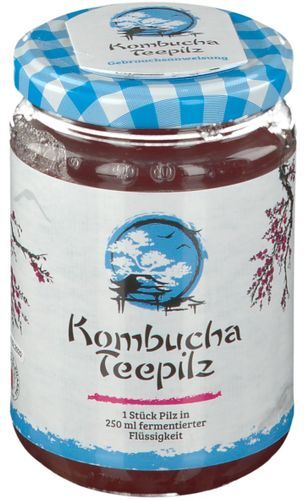 Gall Pharma Kombucha Teepilz 1 St Tee Gall Pharma Kombucha Teepilz 1 St Tee