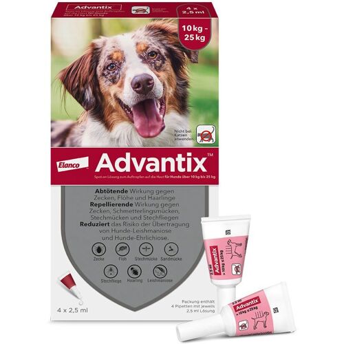 Advantix Spot-on Lsg.z.Auftr.a.d.H.f.Hund 10-25 kg 4 St Lösung
