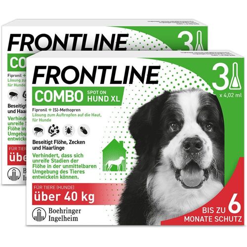 Frontline Combo Spot on gegen Flöhe und Zecken Hund XL über 40kg 2x3 St Einzeldosispipetten