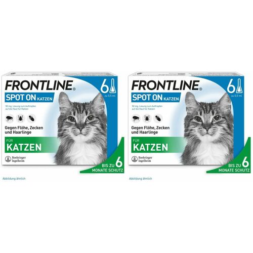 Frontline Spot on K Lösung f.Katzen Doppelpack 2x6 St Einzeldosispipetten