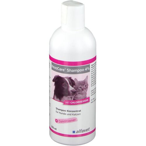 Hexocare Shampoo 4% f.Hunde u.Katzen 250 ml