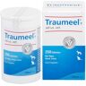 Traumeel VET Traumeel T ad us.vet.Tabletten 250 St Tabletten