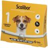 Scalibor Protectorband 48 cm f.kleine-mittl.Hunde 1 St Halsband