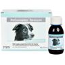 Reconvales Tonicum für Hunde 6x90 ml Tonikum