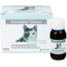 Reconvales Tonicum für Katzen 6x45 ml Tonikum