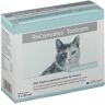 Reconvales Tonicum für Katzen 3x45 ml Tonikum