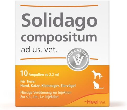 Heel Solidago compositum ad us. vet. Ampullen 10 St Ampullen