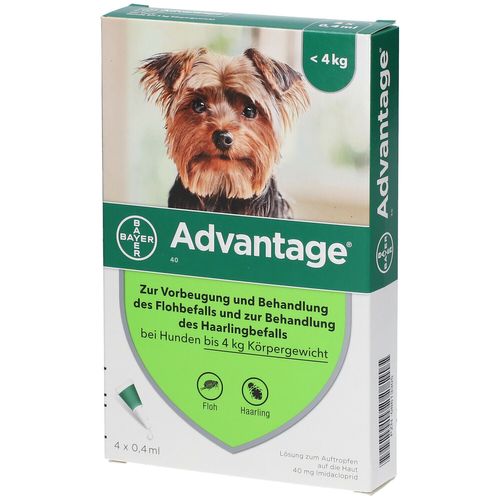 advantage® 40 für Hunde 4 St Lösung