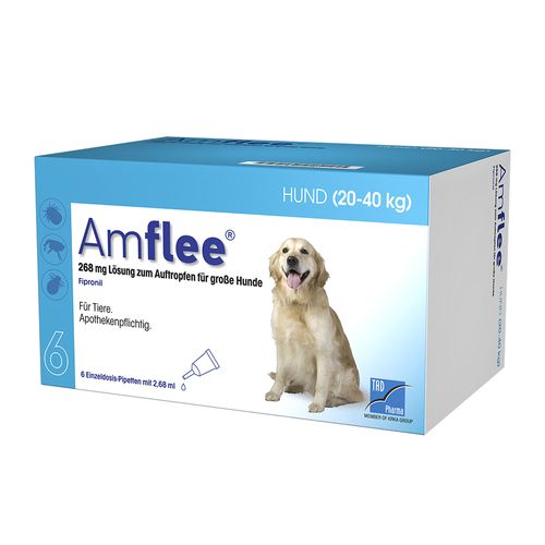 Amflee® 268 mg für große Hunde 6 St Lösung