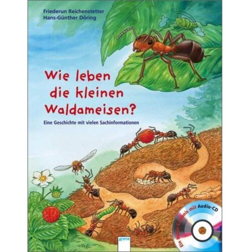 Wie leben die kleinen Waldameisen? -  Bilderbücher