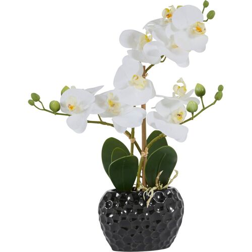 Leonique Kunstpflanze »Orchidee« Orchidee, , Höhe 38 cm, Kunstorchidee, im Topf, weiß-schwarz