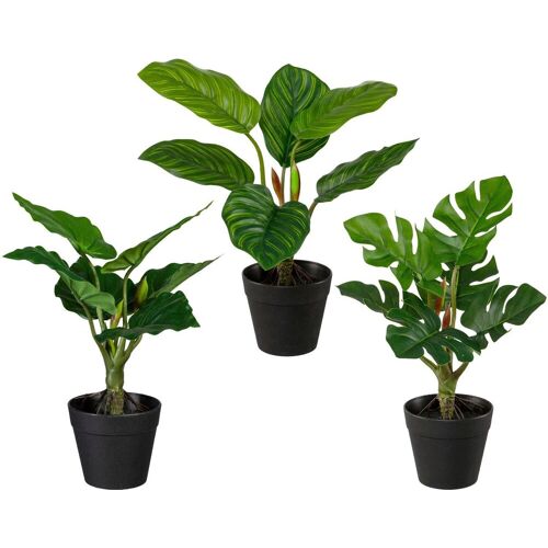 Creativ green Künstliche Zimmerpflanze »Set aus Grünpflanzen« Grünpflanzen, , Höhe 26 cm, 3er Set