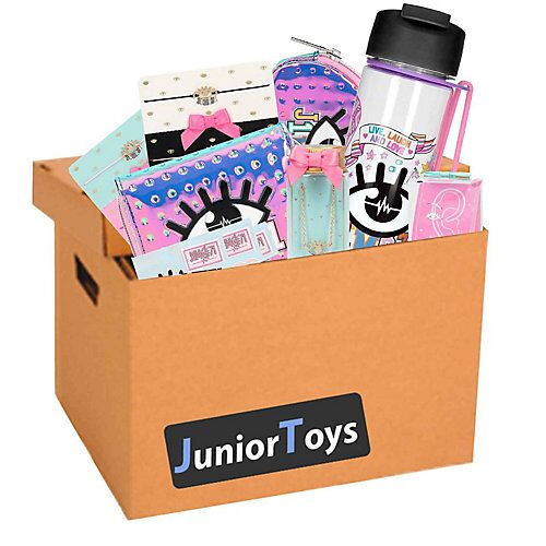 Junior Toys Mystery Paket Lisa & Lena im Wert von über 100 Euro Party Mitgebsel mehrfarbig