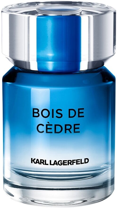 Karl Lagerfeld Les Parfums Matières Herrendüfte Eau de Toilette 50ml für Männer