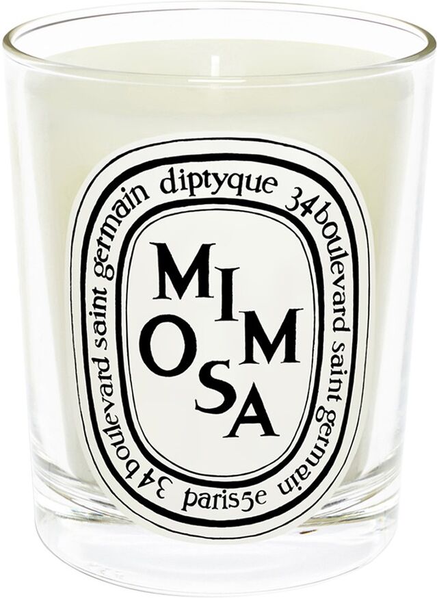 Diptyque Raumdüfte Home & Lifestyle Kerze 190g