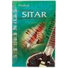 Pankaj Publications Handbook of Sitar