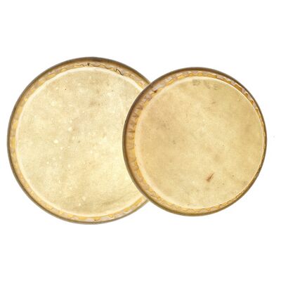 Millenium Bongo Skins for MB202 Millenium Bongo Skins for MB202