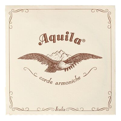 Aquila 160D Wound Nylgut Lute String Aquila 160D Wound Nylgut Lute String