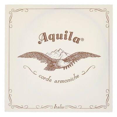 Aquila 120D140 Wound NG Lute String Aquila 120D140 Wound NG Lute String