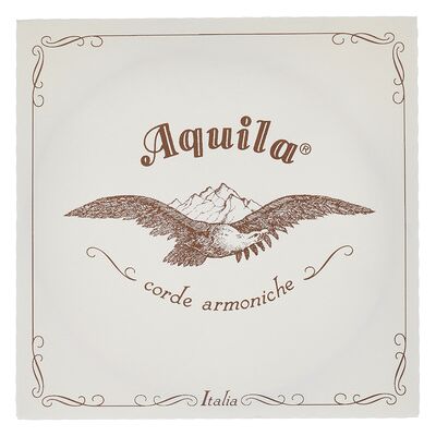 Aquila 136D140 Wound NG Lute String Aquila 136D140 Wound NG Lute String