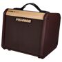 fishman loudbox