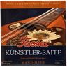 Fisoma F3010 Künstler Mandolin Str.