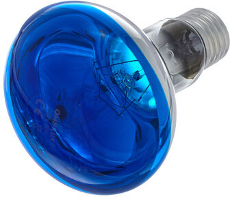 Omnilux R80 Lamp E27 Blue